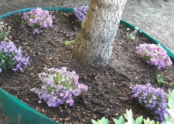 Szaloky Apartmanhaz *