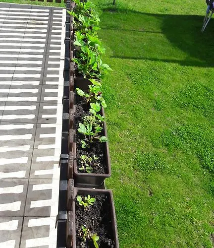 Szalóky Gyenesdiás